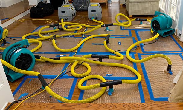 Professional Structural Drying And Dehumidification technician working in Versailles, OH